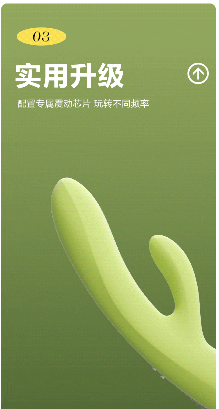 妙趣双震棒(图12)