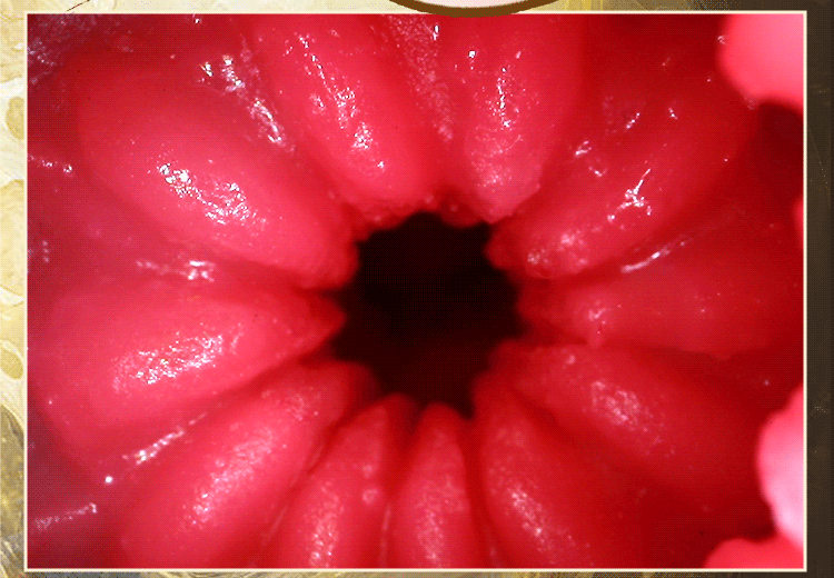 山海玄中录(图13)