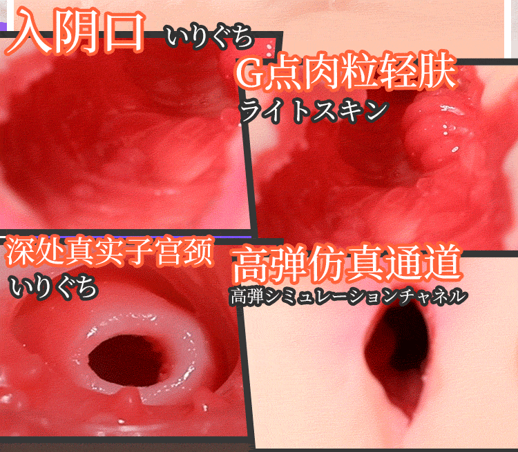 深田二代(图12)