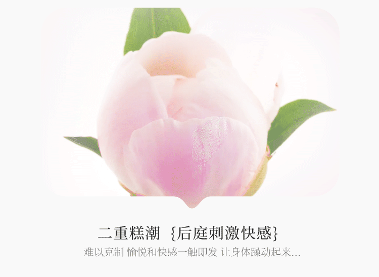 心动小鹿(图17)